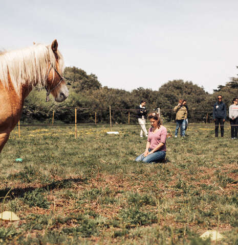 Equi-coaching Equi-coaching