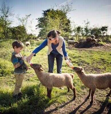 Découverte de la ferme & de ses animaux  à la Ferme d'Emilie