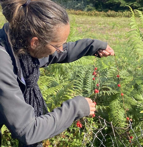 Atelier Macérats Huileux avec Les Jardins des Perdrettes