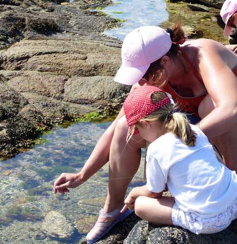 Initiation à la pêche à pied en famille
