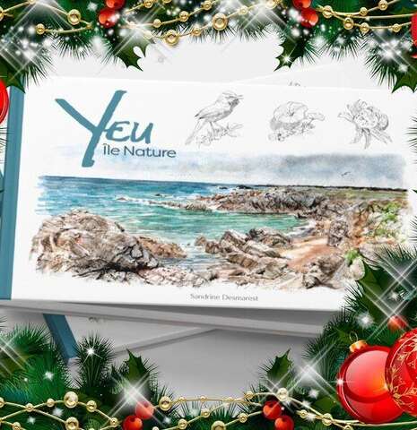 POINT D'OBSERVATION ORNITHO ET DEDICACE LIVRE YEU, ILE NATURE