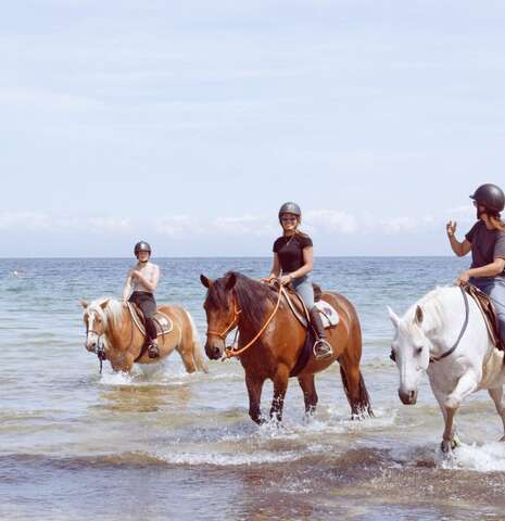 Balades à cheval privées et sur-mesure avec Cavalcoaching