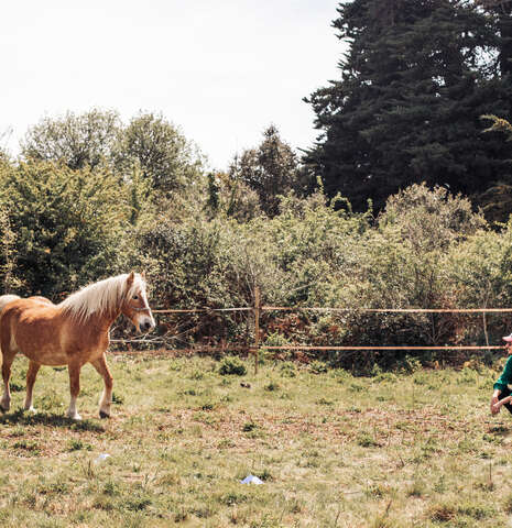 Equicoaching - Bien être par le cheval avec Cavalcoaching