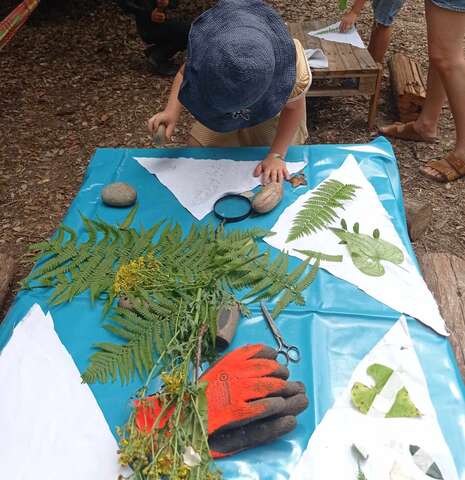 Empreintes végétales