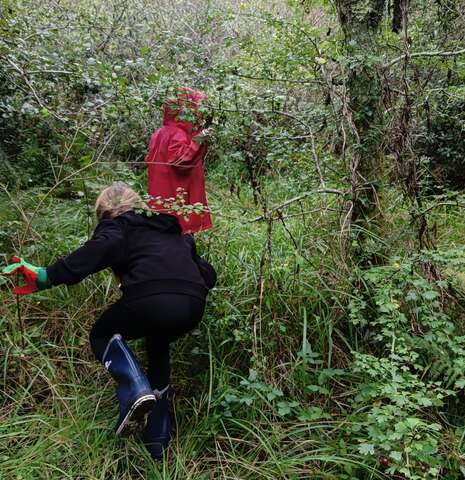 Chasse aux trésors de printemps