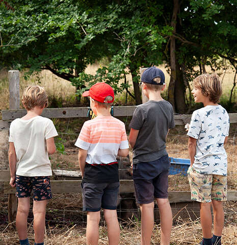 Stage petit(e) fermier(e) à la Ferme d'Emilie (7-12 ans)