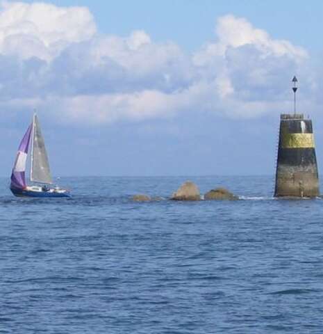 La Régate du Petit Phare