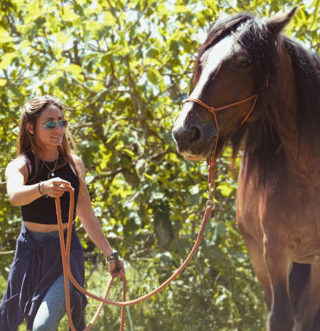 Stage d'équitation éthologique avec Cavalcoaching