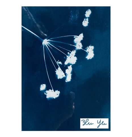 Atelier Cyanotypes à la Ferme d'Emilie