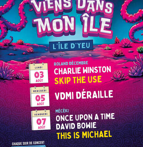 Festival Viens Dans Mon Ile
