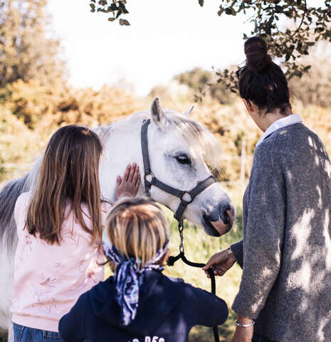 Stage enfant "Découverte des émotions" avec le cheval - Cavalcoaching