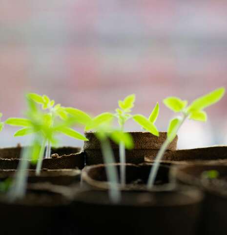 Échange de plants au Verger Patrimonial