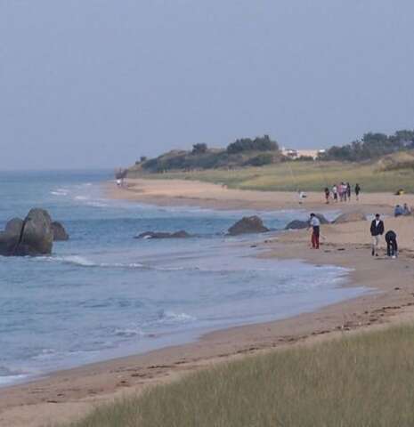 Concours de pêche en Surf-Casting