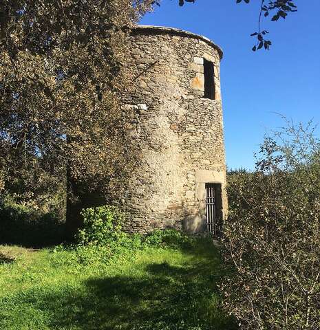 Visite - Entre fermes et chemins creux, focus sur l’histoire agricole de l’Ile d’Yeu Visite - Entre fermes et chemins creux, focus sur l’histoire agricole de l’Ile d’Yeu