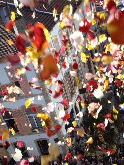 Fête de la Sainte-Fleur - Epinal Fête de la Sainte-Fleur - Epinal