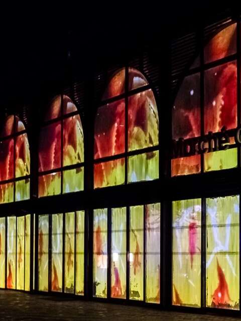 Les nocturnes des Imaginales