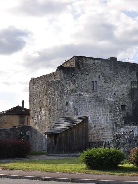 VISITE GUIDEE FORTERESSE DE CHATEL SUR MOSELLE