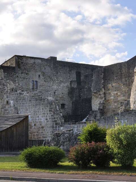 Visite guidée Forteresse de Chatel sur Moselle