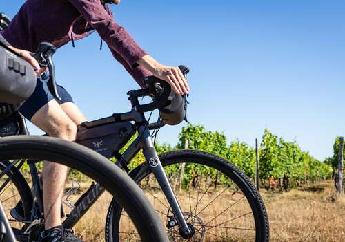 Circuit Gravel / Bikepacking - Angers, entre Loire et vignoble
