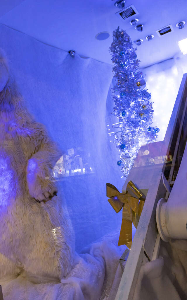 Patinoire Polarys - Marché de Noël