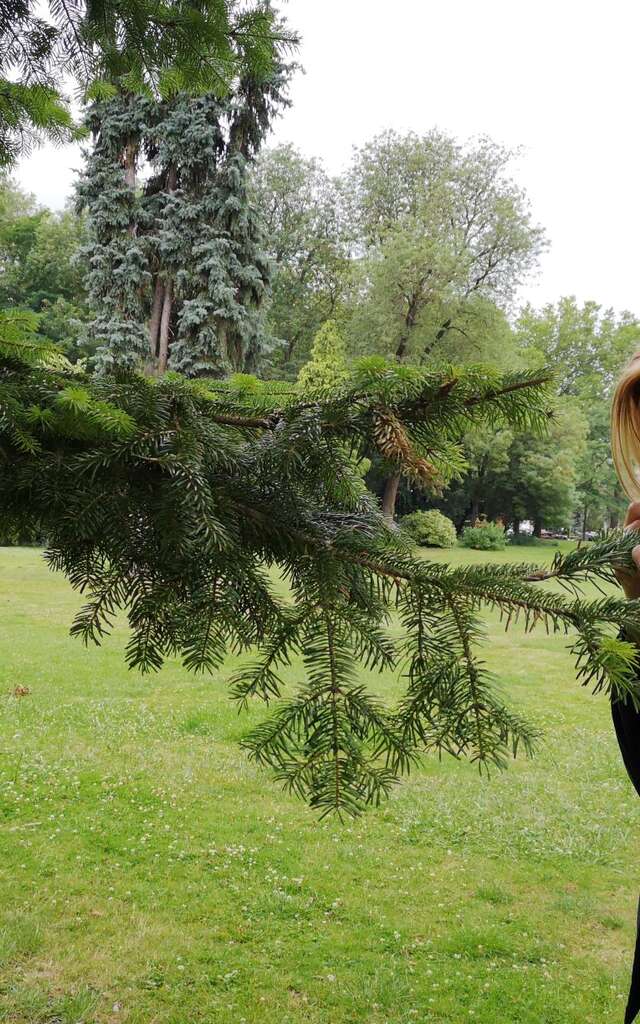 Sophr’arbre au Parc Fenain
