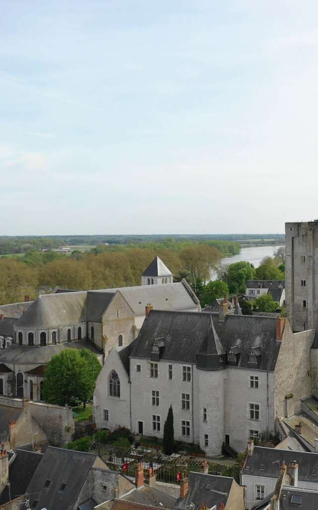 Château de Beaugency