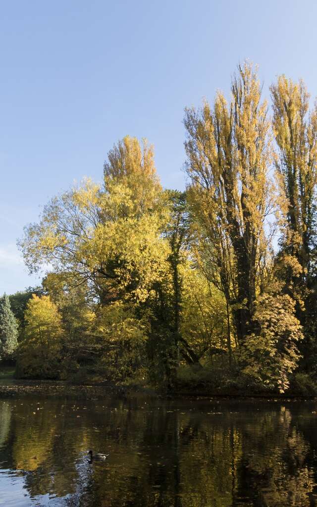 Le parc Bertin