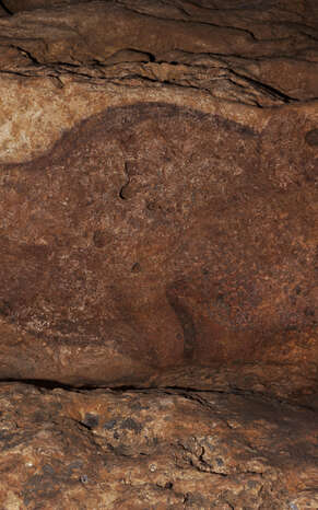 Grotte de Font-de-Gaume