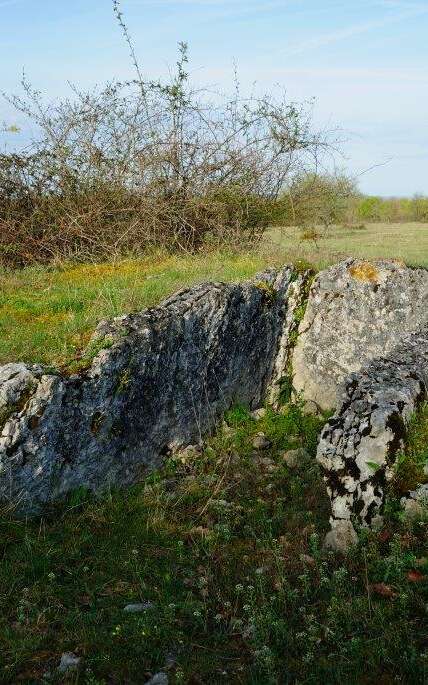 Les Dolmens de Miers