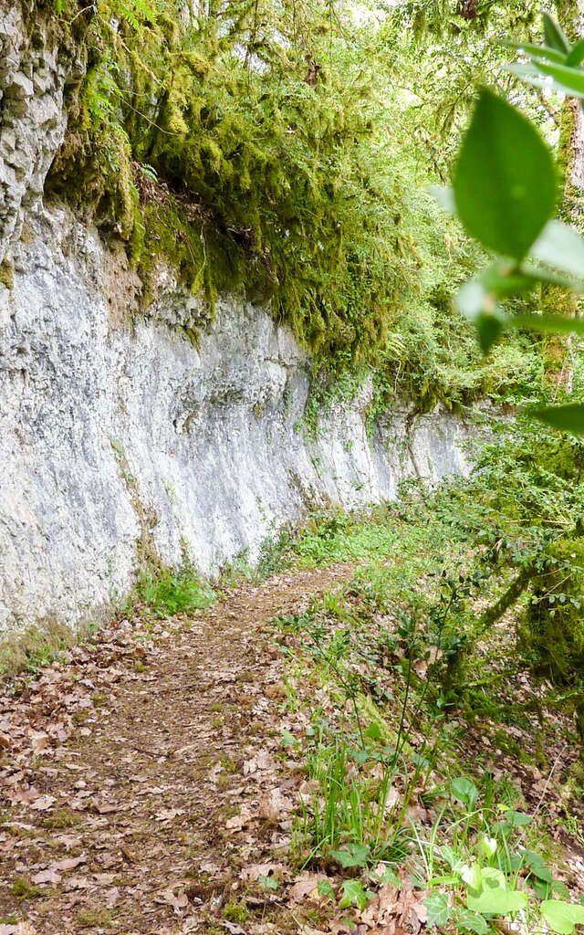 Des Rochers et des Hommes