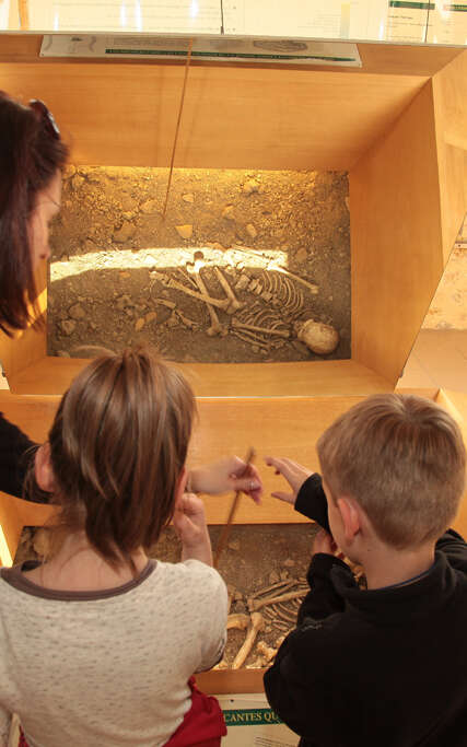 Musée de l'Homme de Neandertal "Jean Bouyssonie"