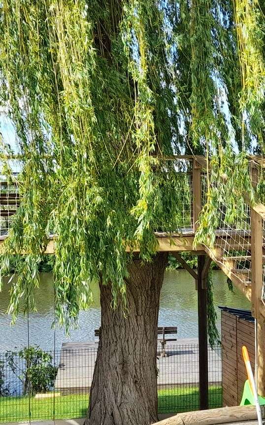 GITE LA TERRASSE DU LOIR