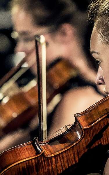 Les Soirées Symphoniques : Ensemble de Harpes