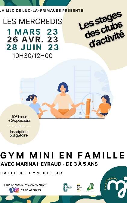 Stage de gym mini