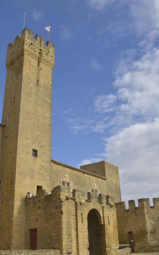 Visite guidée : Un Château Fort en Printemps