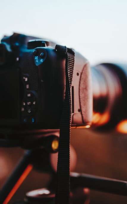 Lecture par nature :  Sur les chemins