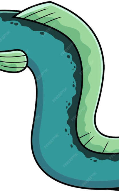 Spectacle : Camille l'Anguille