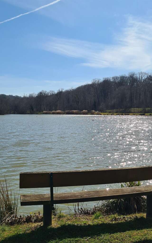 Circuit Pédestre 06 - Le Rond des Gendarmes - 8.9 km