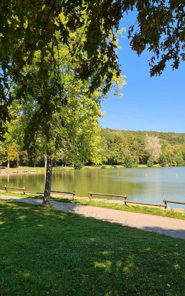 Circuit Pédestre 21 - Le Petit Hachu - 6.2 km
