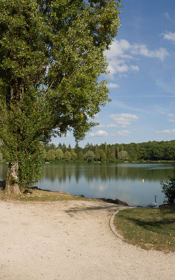 Circuit Pédestre 23 - Entre Forêt et Thermes - 15 km