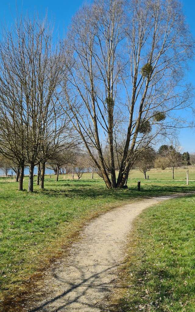Circuit pédestre 02 entre lacs - 11.2 km