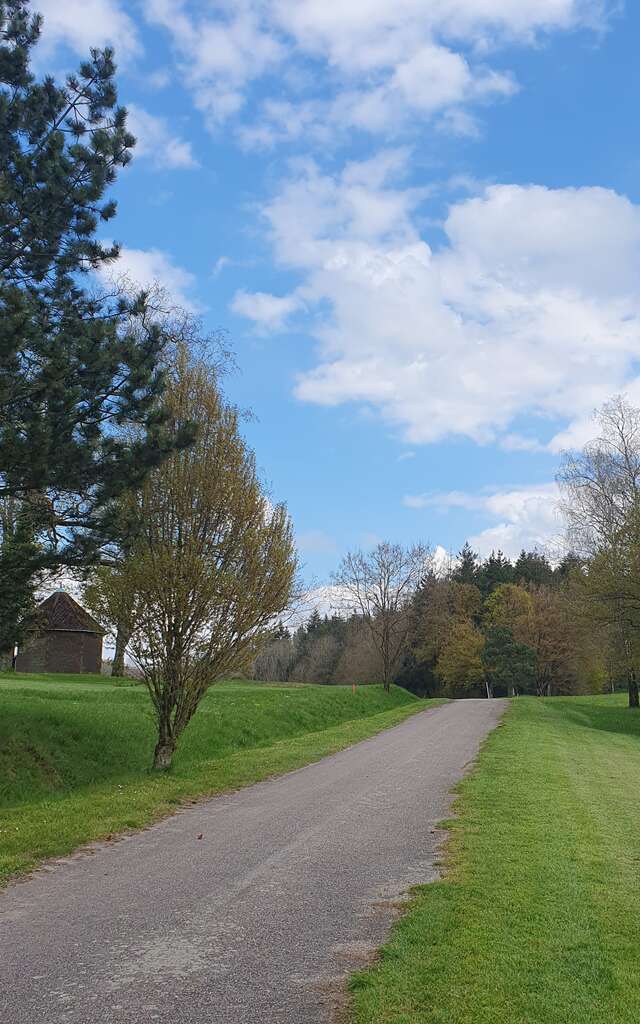CIRCUIT PEDESTRE 12 LES CRETES DU MONTFORT - 11.5 KM