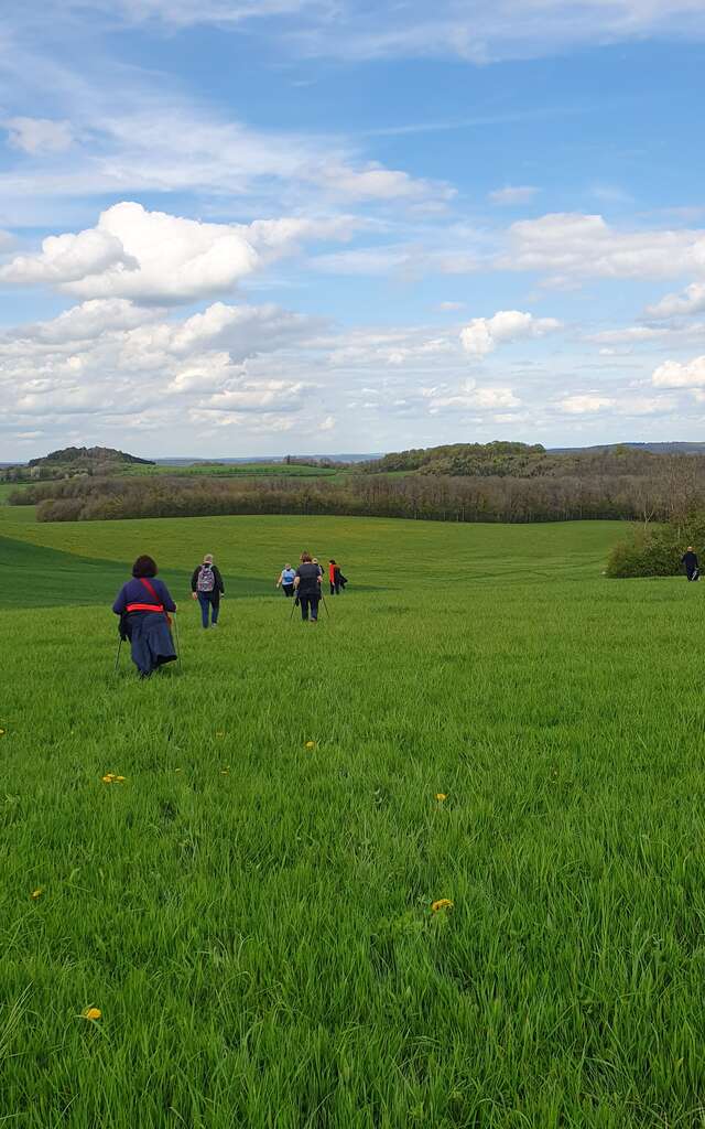 CIRCUIT PEDESTRE 13 DE SOURCES EN VIGNES - 19.7 KM