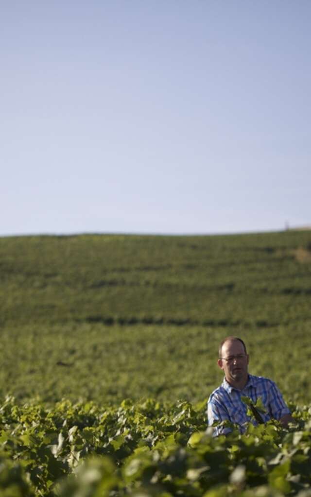 Champagne Jean-Claude Mouzon