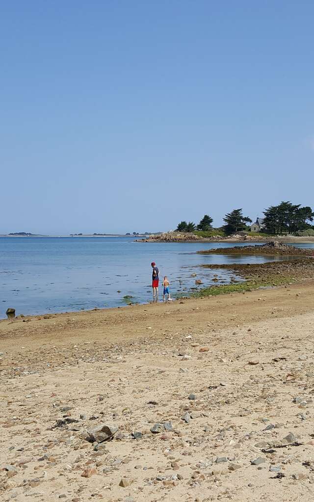 Plage de l'Ile à Poule