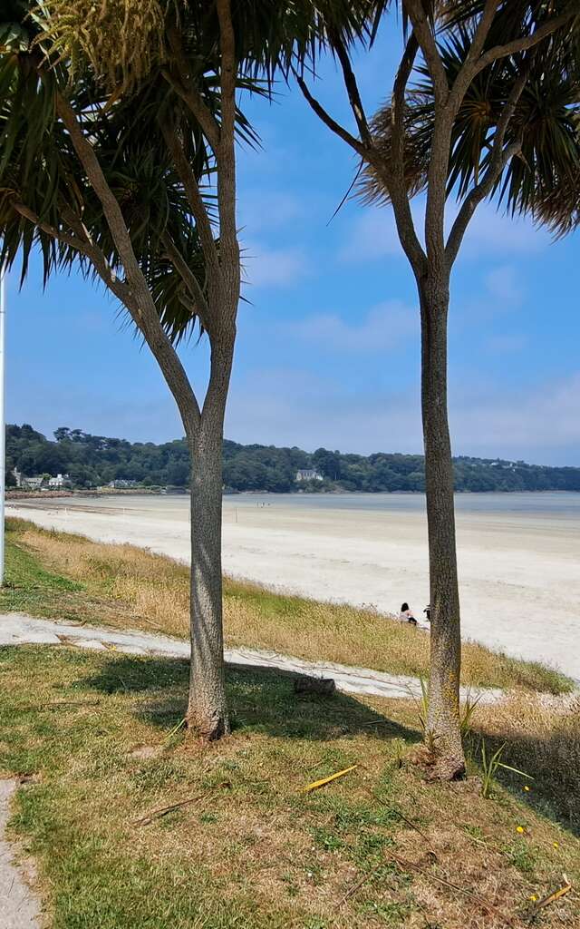 Plage de Saint-Efflam