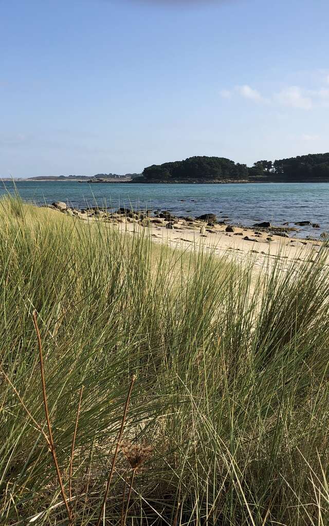 Plage de Toul Gwenn, Ile Grande