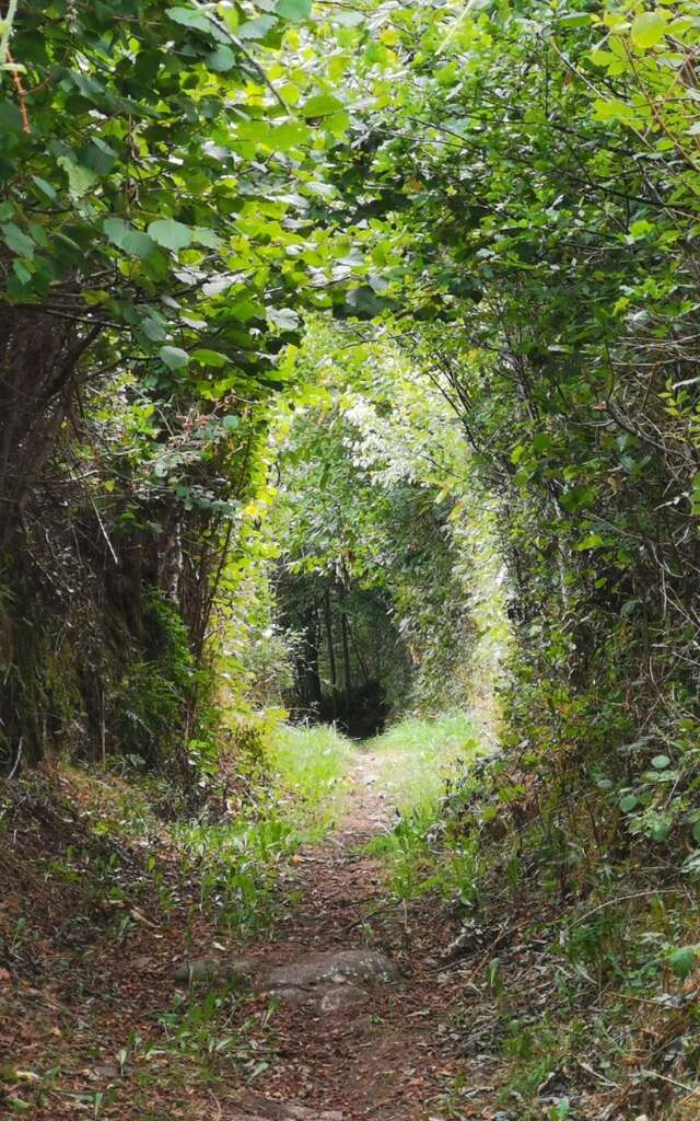 Circuit VTT N°43 CC : D’Ahun à Masgot en passant par Chamberaud