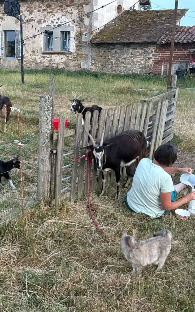 Éveil et Merveilles à la Ferme avec Les Sabots de Laine