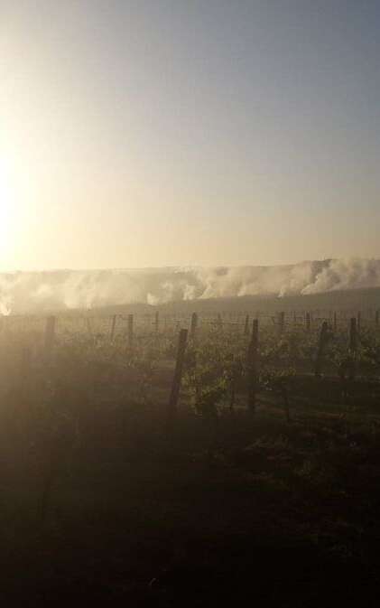 Clos de Noël